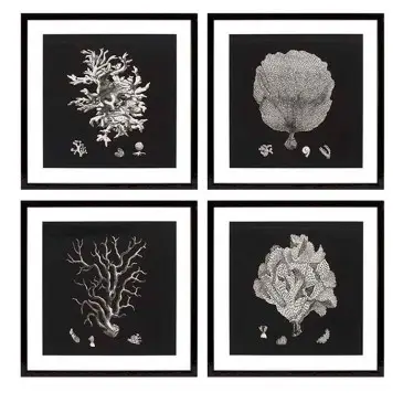 Obrazy Black & Tan Corals set of 4 Eichholtz