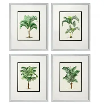 Obrazy Palms set of 4 Eichholtz