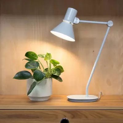 LAMPA STOŁOWA TYPE 80 GREY MIST ANGLEPOISE