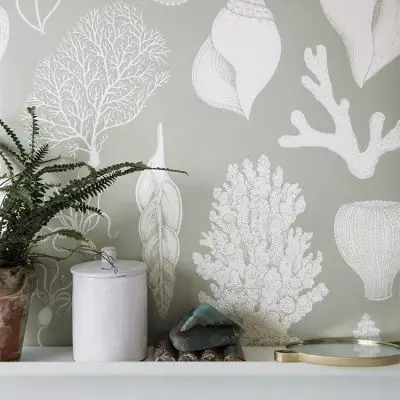 Tapeta Katie Scott shells aqua ferm living