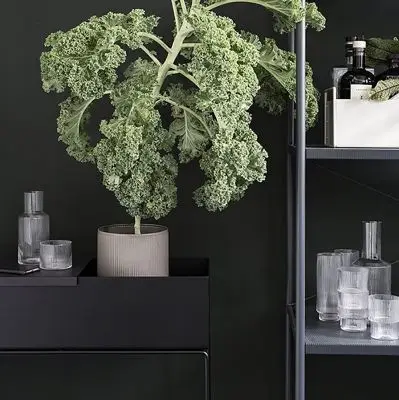 DONICZKA PLANT BOX CZARNA FERM LIVING