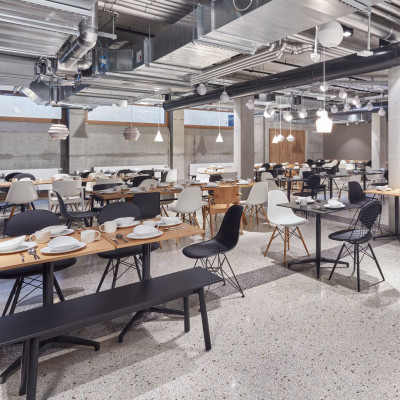 Krzesło Eames Plastic Chairs RE DAR jasnoszare - chromowana podstawa Vitra