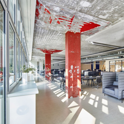 Krzesło biurowe Aluminium EA 117 naturalna skóra cognac - podstawa bordowa Vitra