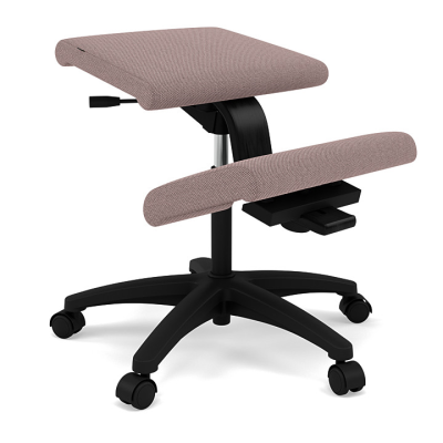 Ergonomischer Stuhl auf den grau geölten Flügelrädern, Wiederholung 648 Varier