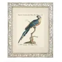 Obrazy Dunbar I set of 4 Eichholtz