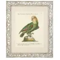 Obrazy Dunbar I set of 4 Eichholtz