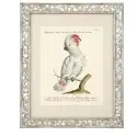 Obrazy Dunbar I set of 4 Eichholtz