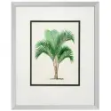 Obrazy Palms set of 4 Eichholtz