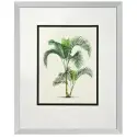 Obrazy Palms set of 4 Eichholtz