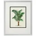 Obrazy Palms set of 4 Eichholtz