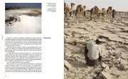 Album The Anatomy of Sabkhas - Salt and Architecture