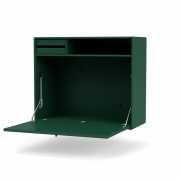 Biurko Studio Pine Montana