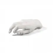Dekoracja Mvsevm Male Hand seletti