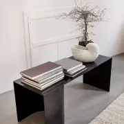 DONICA SHELL FERM LIVING