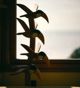 Dekoracja Toucan HKliving