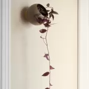 Donica ścienna Globe 15,4 cm taupe AYTM