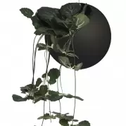 Doniczka wisząca Globe 17 cm czarna AYTM