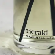 Dyfuzor Zapachowy z Patyczkami Shadow lake Meraki