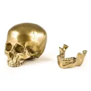 FIGURA DEKORACYJNA HUMAN SKULL SELETTI