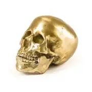 FIGURA DEKORACYJNA HUMAN SKULL SELETTI
