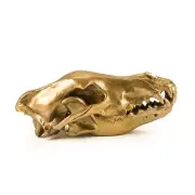 FIGURA DEKORACYJNA WOLF SKULL SELETTI