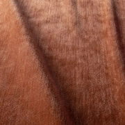 Fotel Oliver Elyot Orange Sits