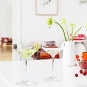 KIELISZEK DO MARTINI 6 SZT. PERFECTION HOLME GAARD