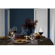 KIELISZKI DO WODY CABERNET 6 SZT. HOLME GAARD