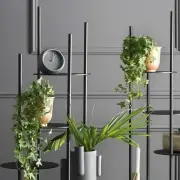 KWIETNIK CIRCLES CZARNY CALLIGARIS