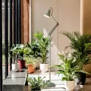 LAMPA PODŁOGOWA ORIGINAL 1227 JET BLACK ANGLEPOISE