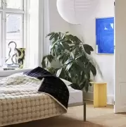 Narzuta Mega Dot 195x245 cm czarno-kremowa HAY