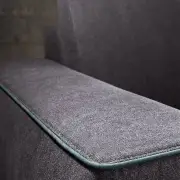 SOFA DUST