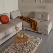 Sofa rozkładana Sigmund dąb Kenya Gravel Innovation