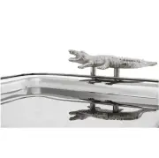 TACA CROC EICHHOLTZ
