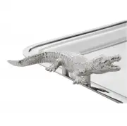 TACA CROC EICHHOLTZ