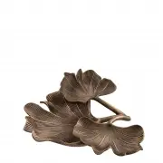 TACA GINKGO EICHHOLTZ