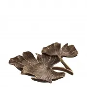 TACA GINKGO EICHHOLTZ