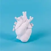 WAZON LOVE IN BLOOM BIAŁY SELETTI