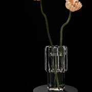 Wazon Press Medium Tom Dixon