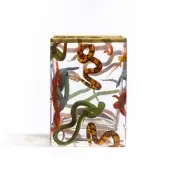 Wazon Snakes h;14 cm Seletti