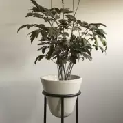 Donica Daiza 37/25 Cm Audo Copenhagen