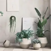 donica ogrodowa Grove 24 cm bolia