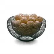 MISA MESH 25 CM PHILIPPI