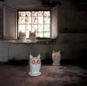 LAMPA STOŁOWA TI-VEDO KARMAN
