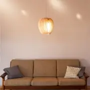 LAMPA WISZĄCA SECUNDUM SCHNEID