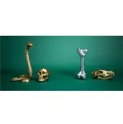 FIGURA DEKORACYJNA BONE SELETTI