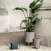DONICZKA BAU DUŻA CIEMNOZIELONA FERM LIVING