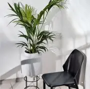 donica Botanique 15 cm bolia