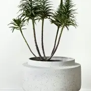 donica Botanique 20 cm bolia