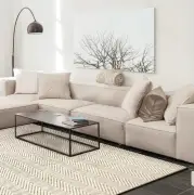 DYWAN LUNO COLD BEIGE 200x300 cm CARPET DECOR